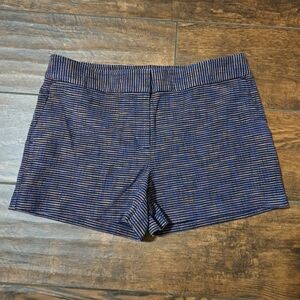 Stylish Blue Striped Women's Shorts